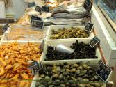 Destin Seafood Festival